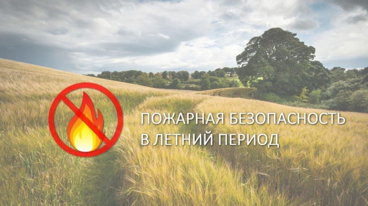 ПАМЯТКА В ПОЖАРООПАСНЫЙ СЕЗОН В ЛЕСУ ГРАЖДАНАМ, ПОСЕЩАЮЩИМ ЛЕСНЫЕ МАССИВЫ НЕДОПУСТИМО.... ПАМЯТКА В ПОЖАРООПАСНЫЙ СЕЗОН В ЛЕСУ ГРАЖДАНАМ, ПОСЕЩАЮЩИМ ЛЕСНЫЕ МАССИВЫ НЕДОПУСТИМО....